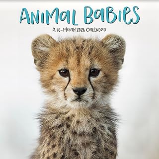Animal Babies 2026 Calendar
