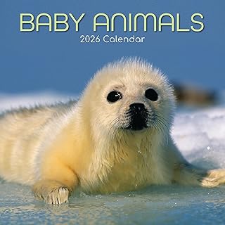 Baby Animals 2026 Calendar