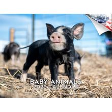 Baby Animals 2026 Calendar