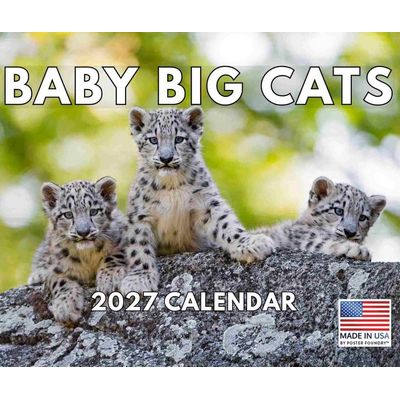 Baby Big Cats 2027 Wall Calendar