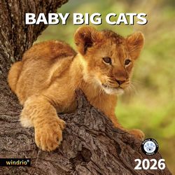 Baby Big Cats 2026 Calendar