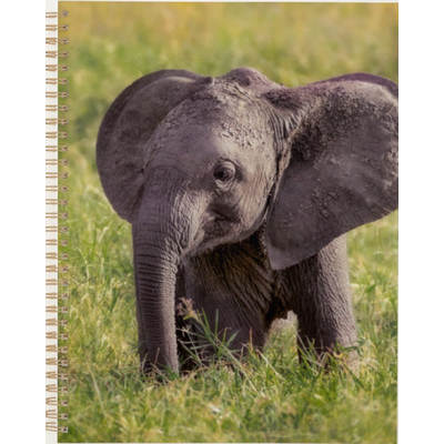 Baby Elephant Kenya Africa 2027 Planner