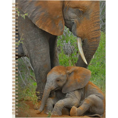 Mama Elephant & Baby Planner