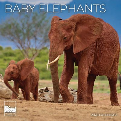 Baby Elephants 2026 Wall Calendar