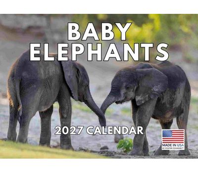 Baby Elephants 2027 Calendar