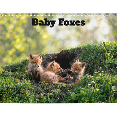 Baby Foxes 2027 Wall Calendar