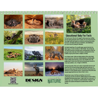 Baby Foxes 2027 Wall Calendar