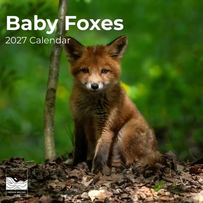 Baby Foxes 2027 Wall Calendar