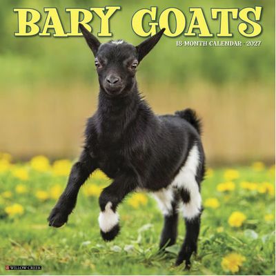 Baby Goats 2027 Calendar