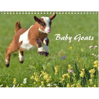 Baby Goats 2027 Wall Calendar