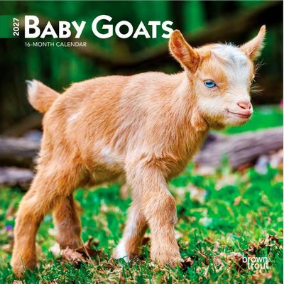 Baby Goats 2027 Wall Calendar