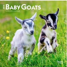Baby Goats 2026 Mini Wall Calendar