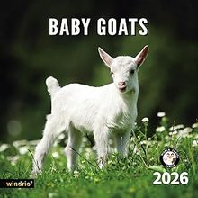 Baby Goats 2026 Calendar