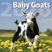 Baby Goats 2026 Calendar