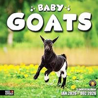 Baby Goats 2026 Calendar