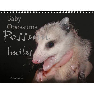 Baby Opossums 2027 Wall Calendar