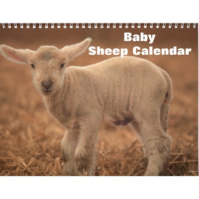 Baby Sheep 2027 Wall Calendar