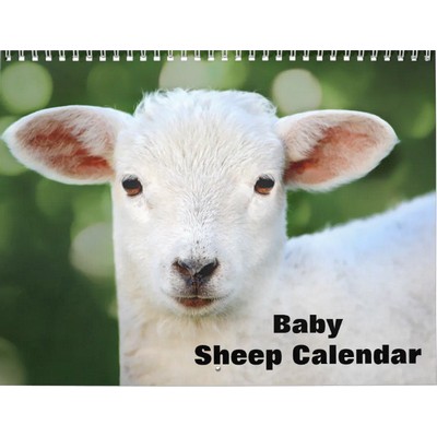 Baby Sheep 2027 Wall Calendar