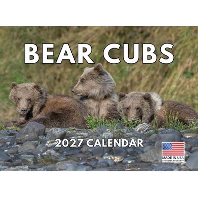 Bear Cubs 2027 Wall Calendar