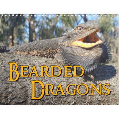 Bearded Dragons 2027 Calendar