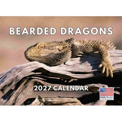 Bearded Dragons 2027 Calendar