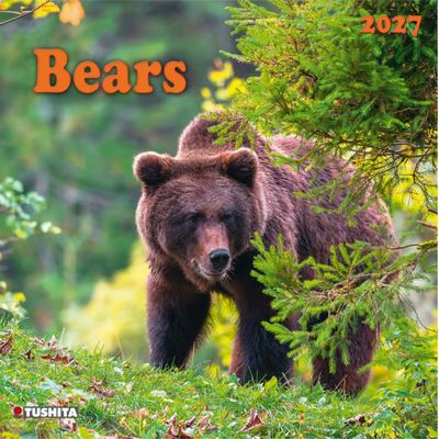Bears 2027 Wall Calendar