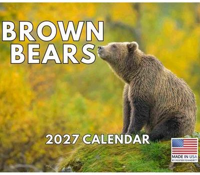Brown Bears 2027 Wall Calendar
