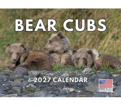 Bear Cubs 2027 Wall Calendar