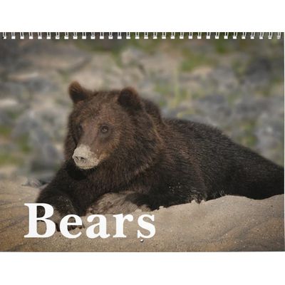 Roaming with Giants - A Grizzly Bear Calendar