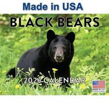 Black Bears Calendar