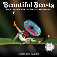 Beautiful Beasts: Bugs, Insects, and Other Fantastic Creatures