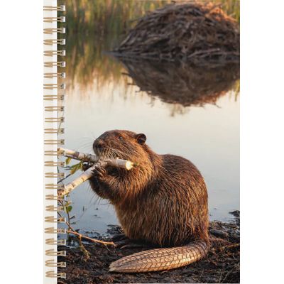 Beaver 2027 Planner