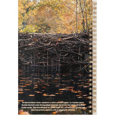 Beaver 2027 Planner