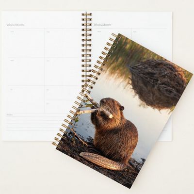 Beaver 2027 Planner