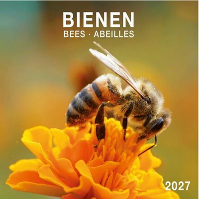 Bees 2027 Calendar