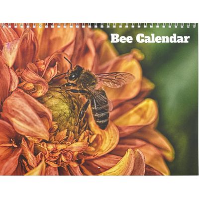 Bee 2027 Wall Calendar