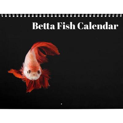Betta Fish 2027 Wall Calendar