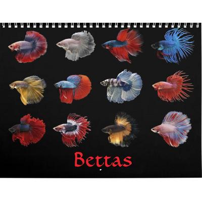Betta Fish 2027 Wall Calendar