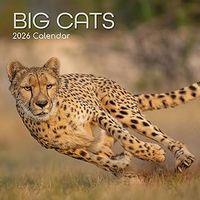 Big Cats 2026 Calendar