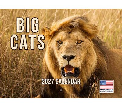Big Cats 2027 Wall Calendar