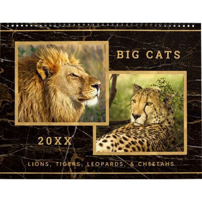 Beautiful Big Cats Photograph Calendar