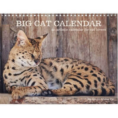 Big Cat 2027 Calendar