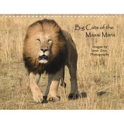 Big Cats of the Masai Mara, Kenya Calendar