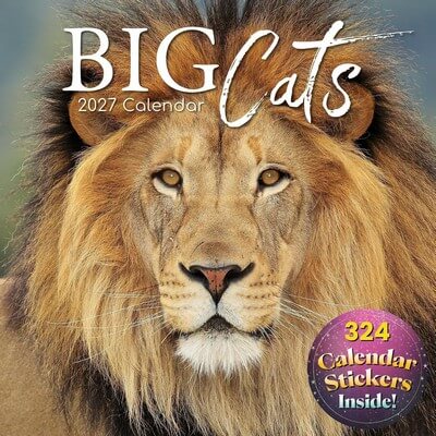 Big Cats 2027 Wall Calendar