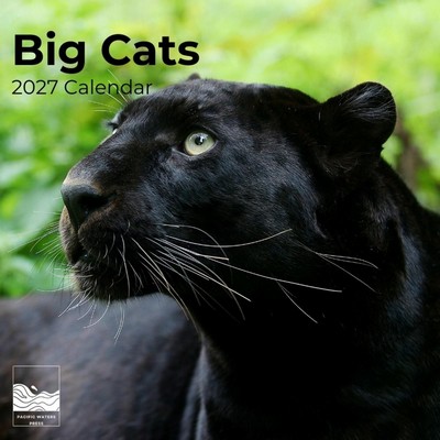 Big Cats 2027 Wall Calendar