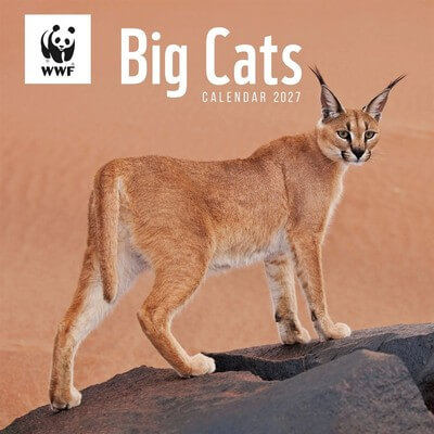 Big Cats 2027 Wall Calendar