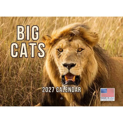 Big Cats 2027 Wall Calendar