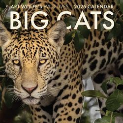Lions Calendars