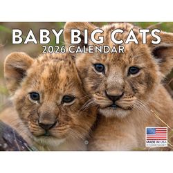 Baby Big Cats 2026 Calendar