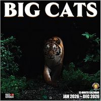 Big Cats 2026 Calendar
